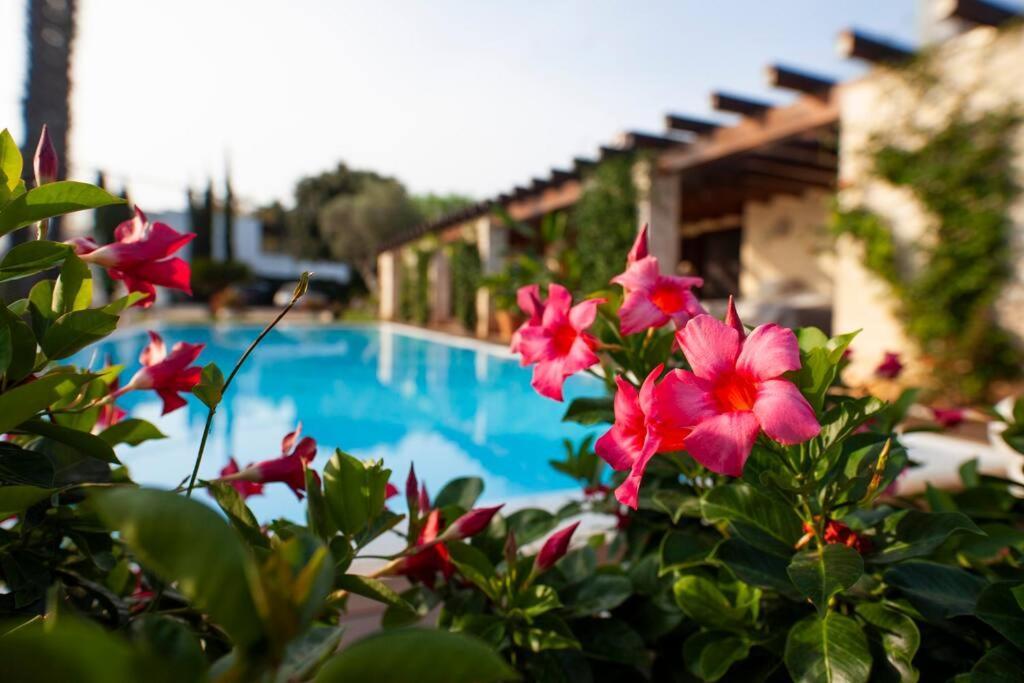 Spaziosa Villa Con Piscina E Giardino, Polignano A Mare Kültér fotó